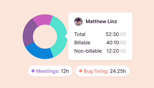 Various data elements such as a pie chart with billable information and total amount of time spent on tasks such as 'Meetings' and 'Bug fixes'