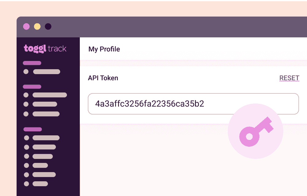 Screenshot of Toggl Track's API feature